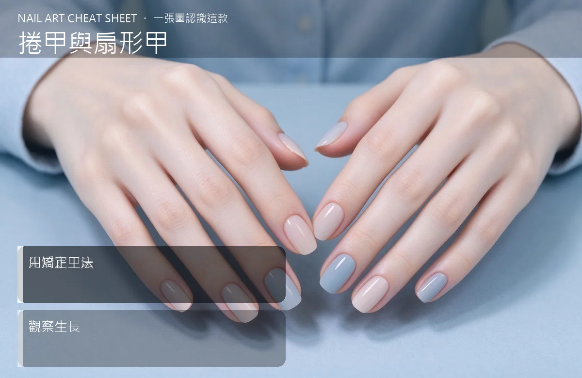 捲甲與扇形甲 視覺辨識卡